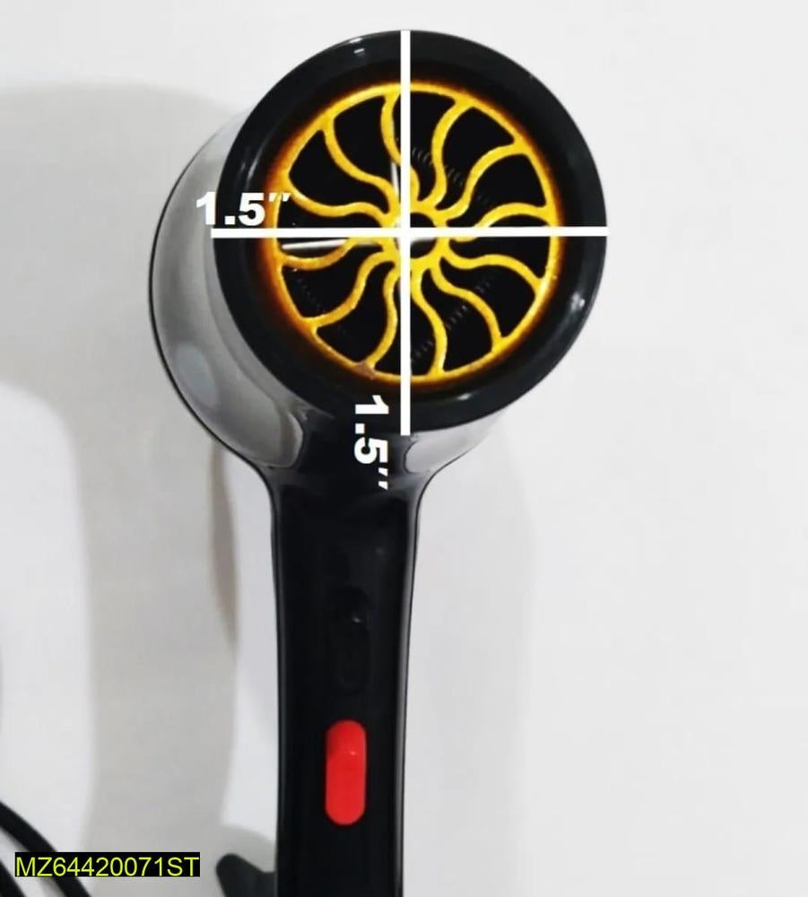 Professional Hair Dryer